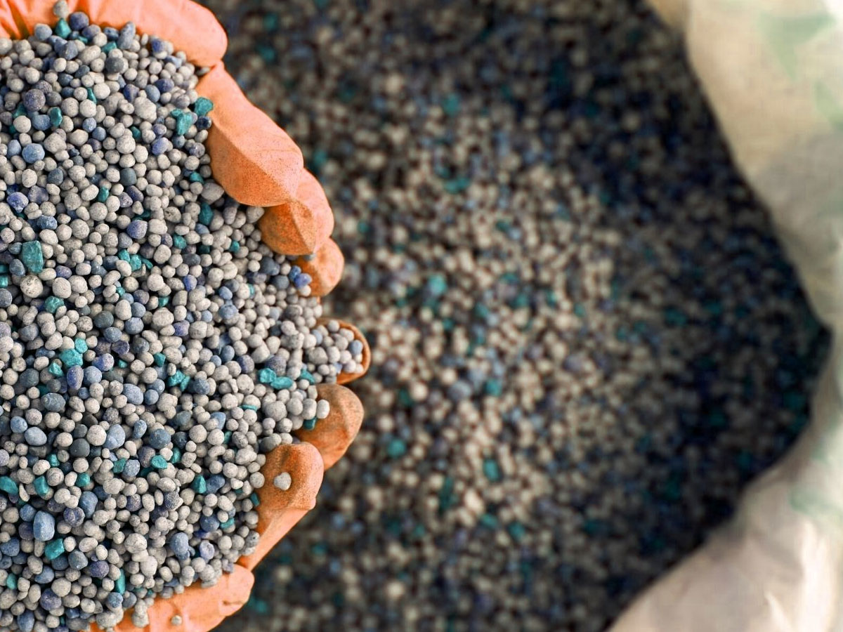 เคล็ดลับการใส่ปุ๋ย เพื่อดูแลสนามหญ้าให้เขียวขจีตลอดปี ต้องใช้ปุ๋ยอะไร จำนวนมากแค่ไหน