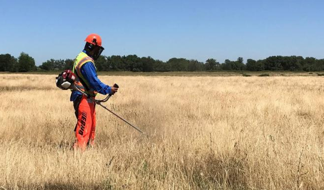 แว่นตานิรภัย รองเท้าหุ้มข้อ และเสื้อแขนยาว