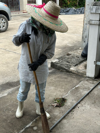 หลังจากตัดเสร็จแล้ว ต้องกวาดทำความสะอาดเศษหญ้ารอบบ้าน ด้วยไม้กวาดทางมะพร้าว