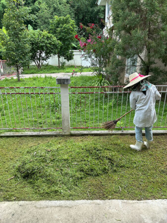 กวาดเศษหญ้าที่ตัดแล้ว กองไว้ เพื่อเตรียมใส่ถุงกระสอบ เพื่อนำไปทิ้งต่างหาก