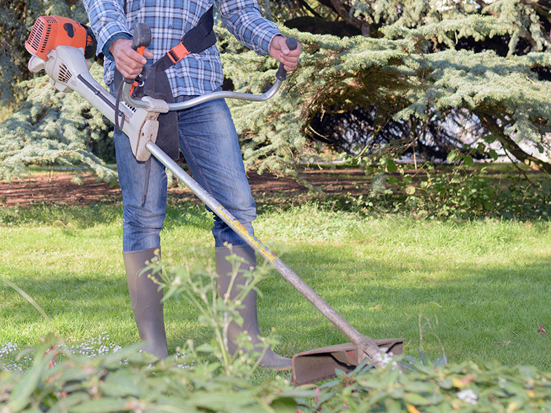 ทำเองก็ได้ แต่ทำไมต้องจ้าง, 5 เหตุผลทำไมควรจ้างช่างตัดหญ้าแทนการตัดหญ้าเอง