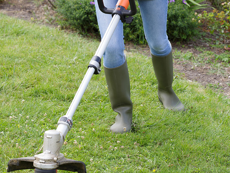 ช่างตัดหญ้า